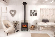 Load image into Gallery viewer, Woodwarm Phoenix Fireblaze Eco 6kw
